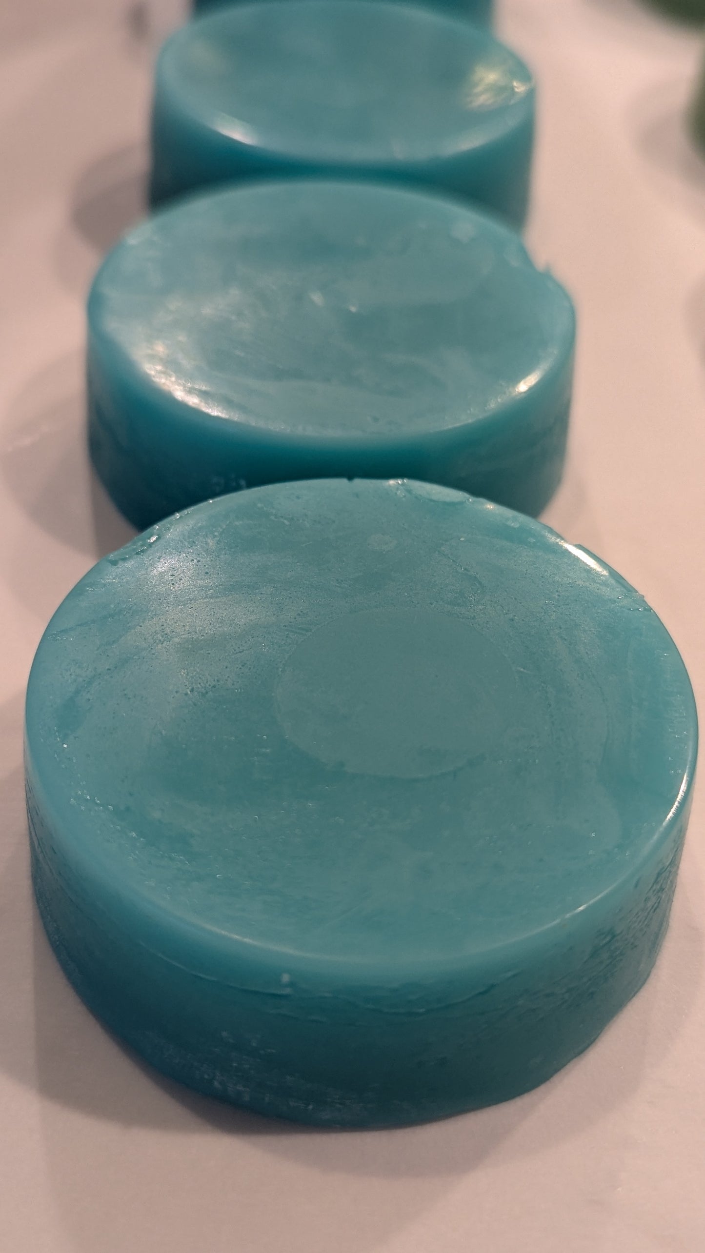 Conditioner Bar - Black Coral and Moss
